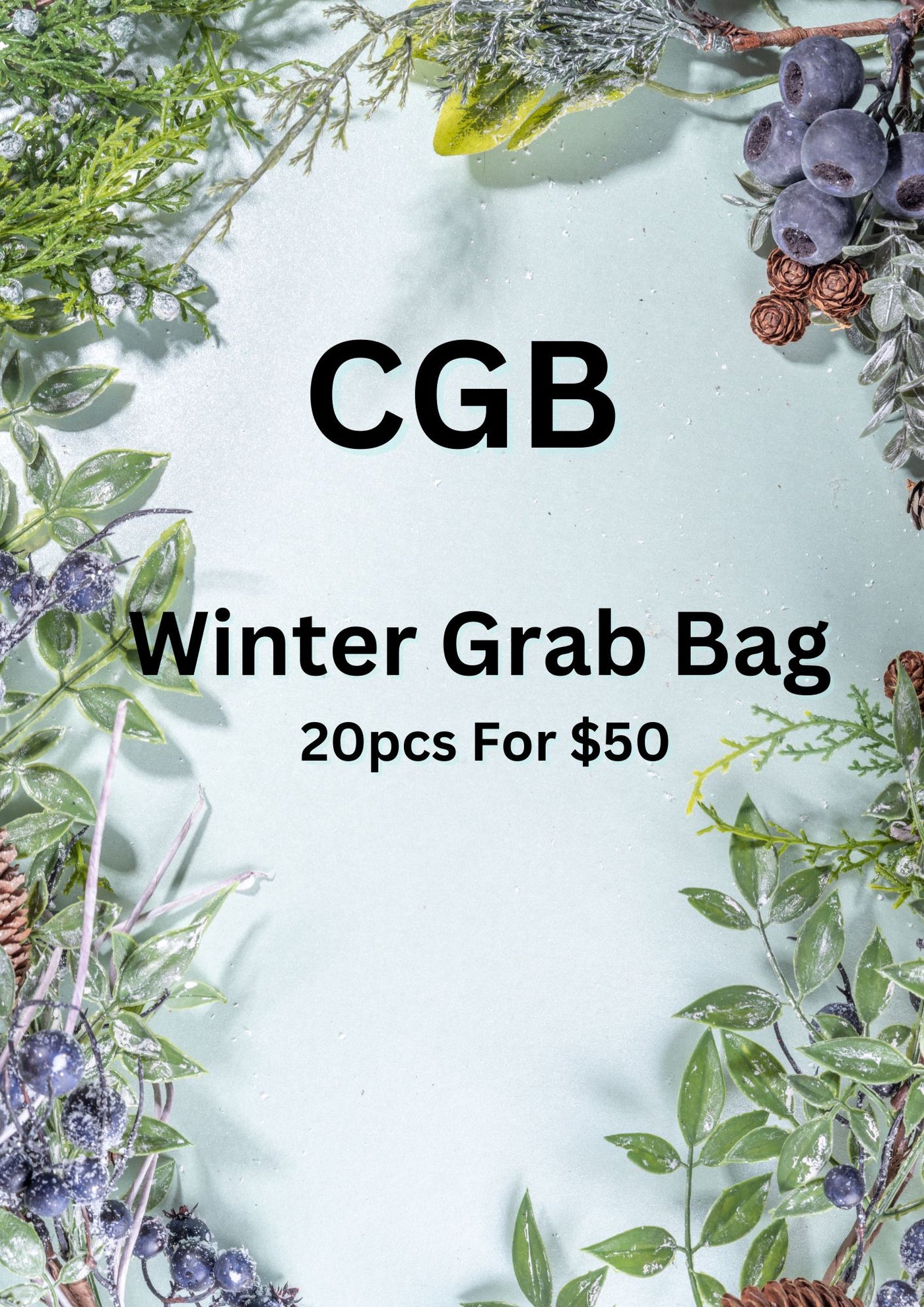 Winter Grab Bag 20pcs For $50